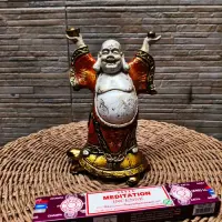 Buda Sobre Tortuga Importado Indonesia Estatua Resina 20 Cm
