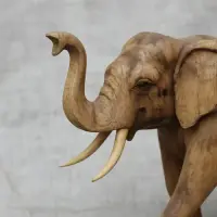 Elefante De Madera Teka Maciza Importado Indonesia Unico