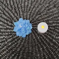 Vela Flotante Decorativa Flor Suculenta Ideal Piletas Import