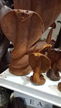 Cobra Madera Teka 30 Cm Serpiente Sagrada De India Importada Marrón Claro