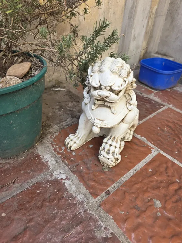 Foto de un comprador