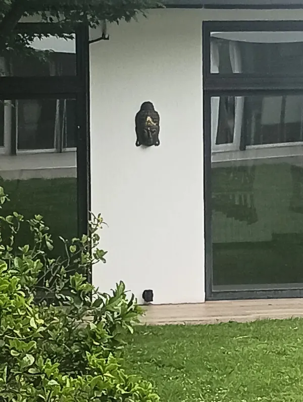 Foto de un comprador