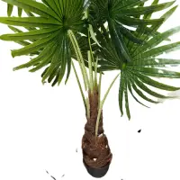 Palmera Artificial Con Porta Maceta Decoración Importada Verde