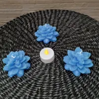 Set X3 Vela Flotante Decorativa Flor Suculenta Ideal Import