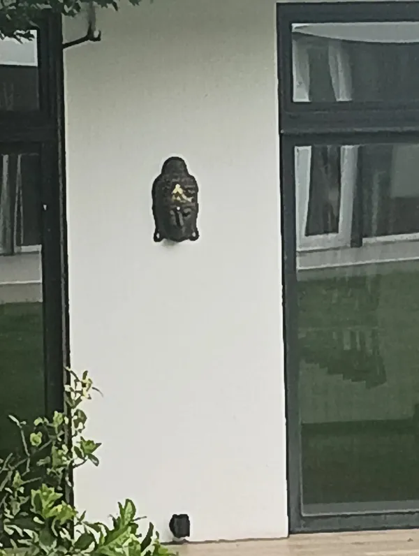 Foto de un comprador