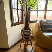 Maceta Pushkar Tienda Redonda 55 Cm Bamboo Importado Rattan Marrón Claro Bamboo Y Rattan