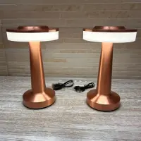 Set X2 Lámparas Fanales Led Touch Inalámbricas 20 Cm Import. Varios