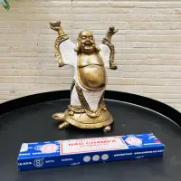 Buda Sobre Tortuga Importado Indonesia Estatua Resina 20 Cm