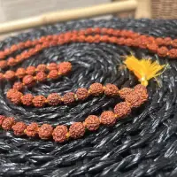 Japa Mala Rosario Hindú Semilla Rudraksha 108 Cuentas