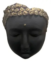 Mascara Cara Buda Aplique Cuadro En Resina Pushkar Tienda