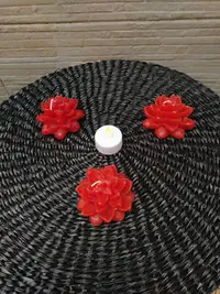 Set X3 Vela Flotante Decorativa Flor Suculenta Ideal Import