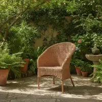 Silla Sillon Artesanal Fibras Naturales Y Caña Ideal Galeria