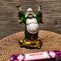 Buda Sobre Tortuga Importado Indonesia Estatua Resina 20 Cm