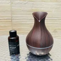 Humidificador Aromatico 15 Cm + Esencia Carga Usb Y Luz Led