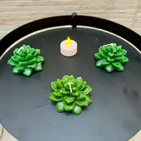 Set X3 Vela Flotante Decorativa Flor Suculenta Ideal Import