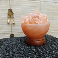Cuenco De Sal Del Himalaya Energetica Importada Decorativa Rosa Claro