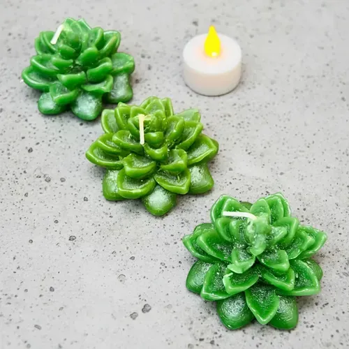 Set X3 Vela Flotante Decorativa Flor Suculenta Ideal Import