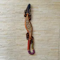 Iguana Importada De India En Madera Oferta Pushkar Tienda Modelo 2