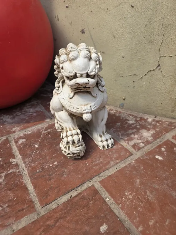 Foto de un comprador