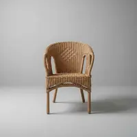 Sillón Swan Artesanal Fibra Natural-caña Apto Galería Silla 