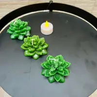 Set X3 Vela Flotante Decorativa Flor Suculenta Ideal Import