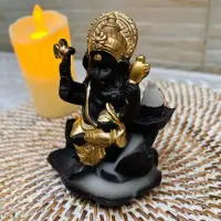 Cascada Humo Ganesha Importada + 10 Conos Regalo Zen Dorado